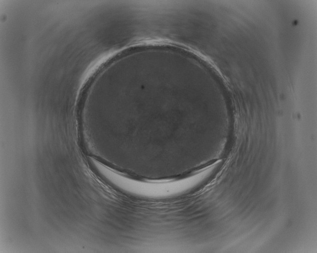 X0000071811319200607141600