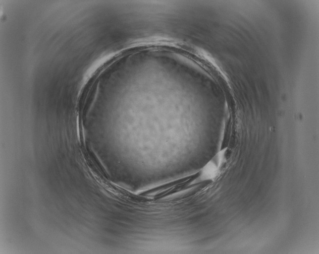 X0000071811320200607141600