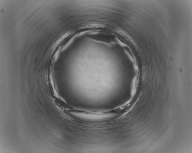 X0000071811321200607141600