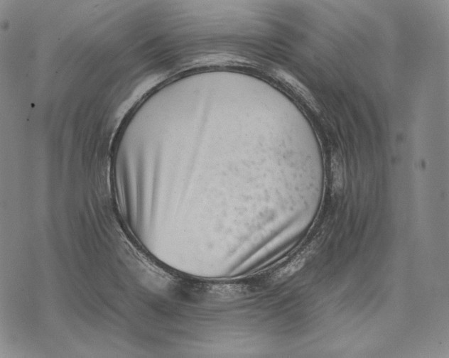 X0000071811322200607141600