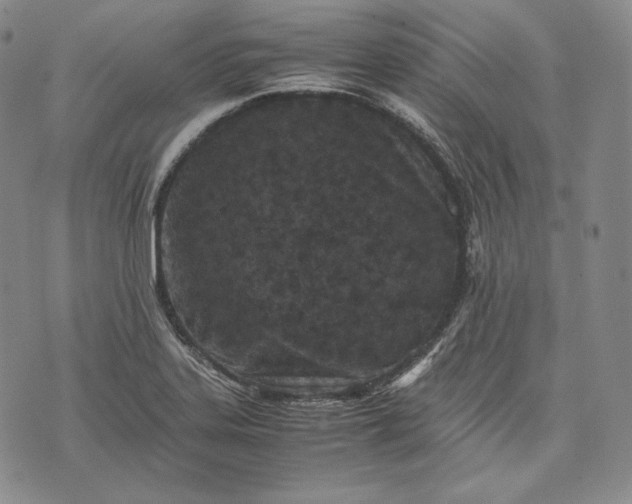 X0000071811323200607141600