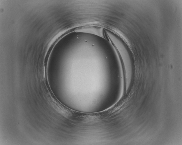 X0000071811324200607141600