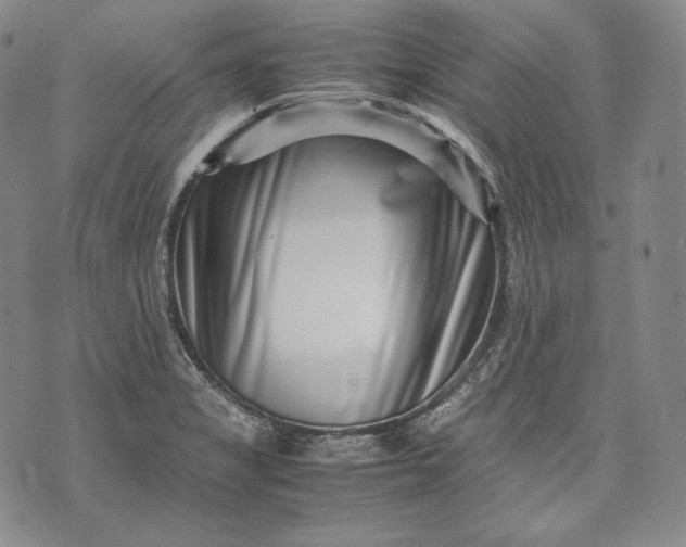 X0000071811325200607141600