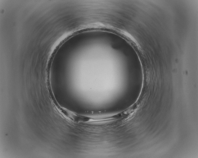 X0000071811326200607141600