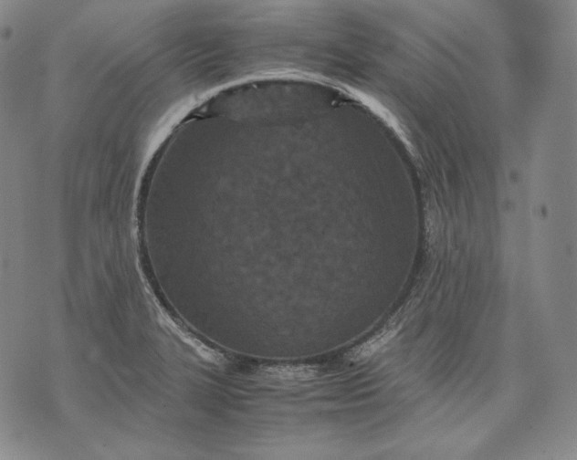 X0000071811327200607141600