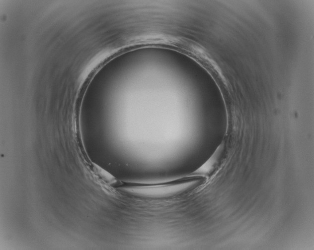 X0000071811328200607141600