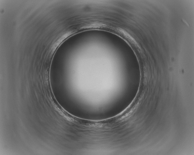 X0000071811329200607141600