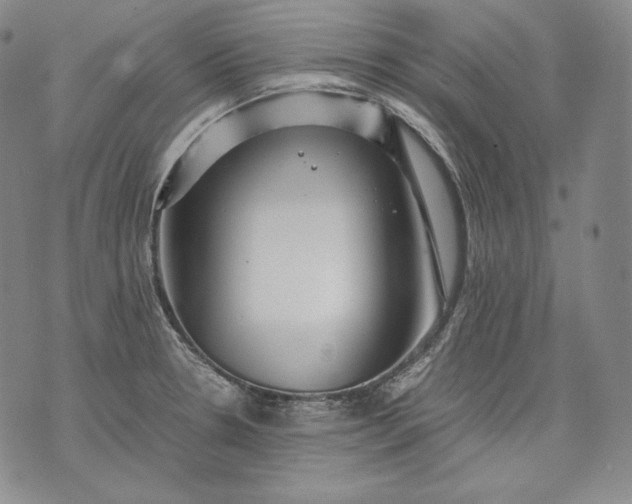 X0000071811330200607141600