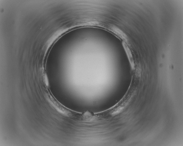 X0000071811332200607141600