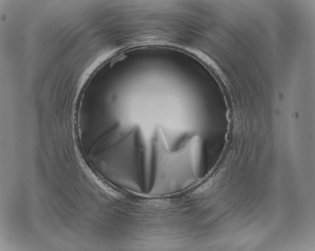 X0000071811333200607141601