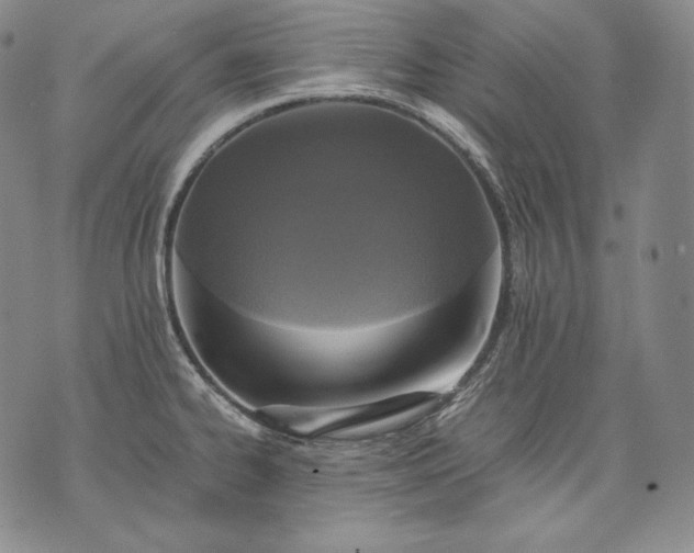 X0000071811334200607141601