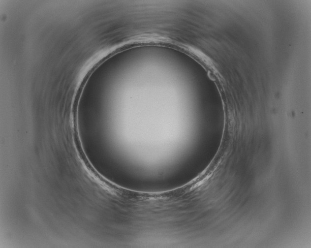 X0000071811335200607141601