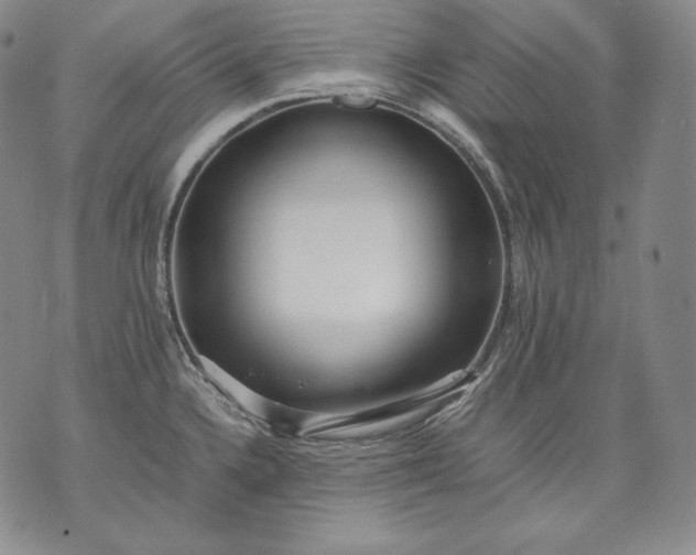 X0000071811336200607141601