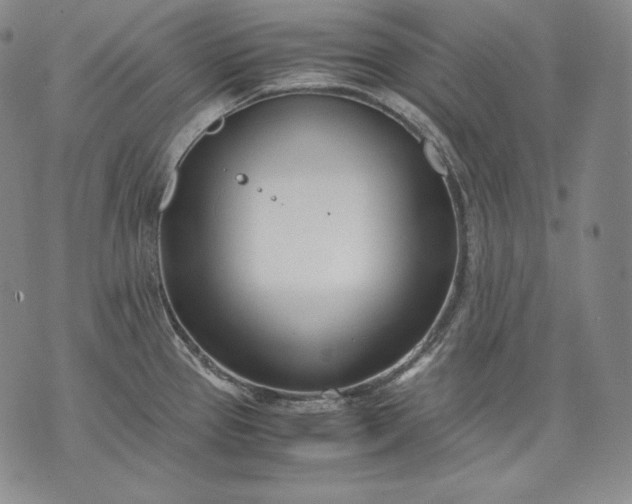 X0000071811337200607141601