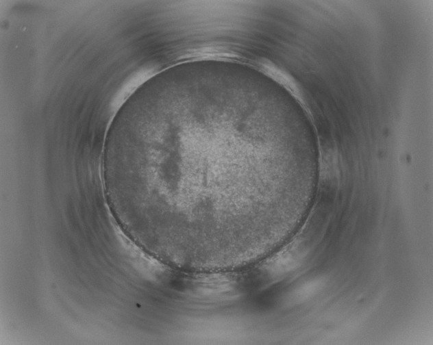 X0000071811338200607141601