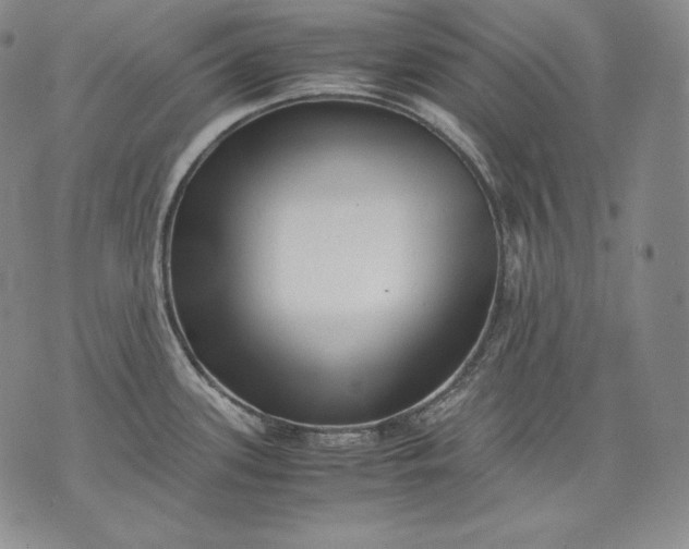 X0000071811339200607141601