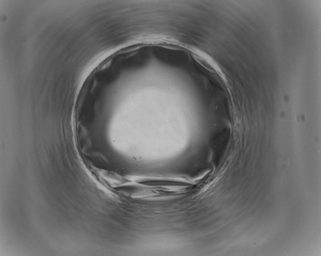 X0000071811343200607141601