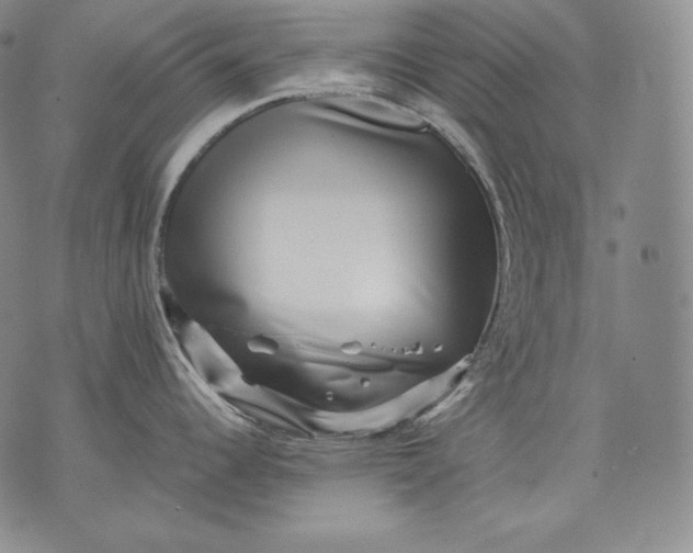 X0000071811344200607141601