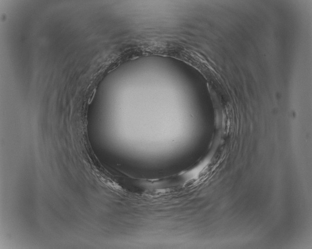 X0000071811345200607141600