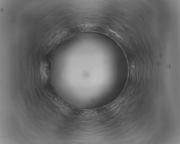 X0000071811346200607141600