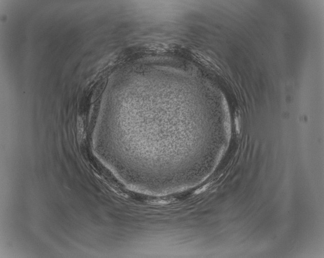 X0000071811347200607141600