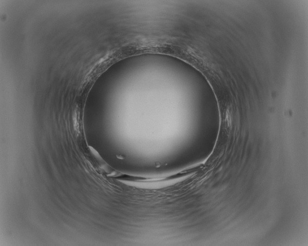 X0000071811348200607141600