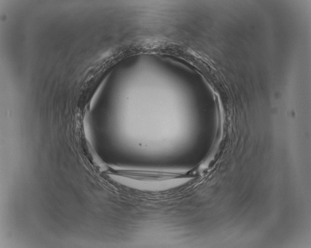 X0000071811349200607141600