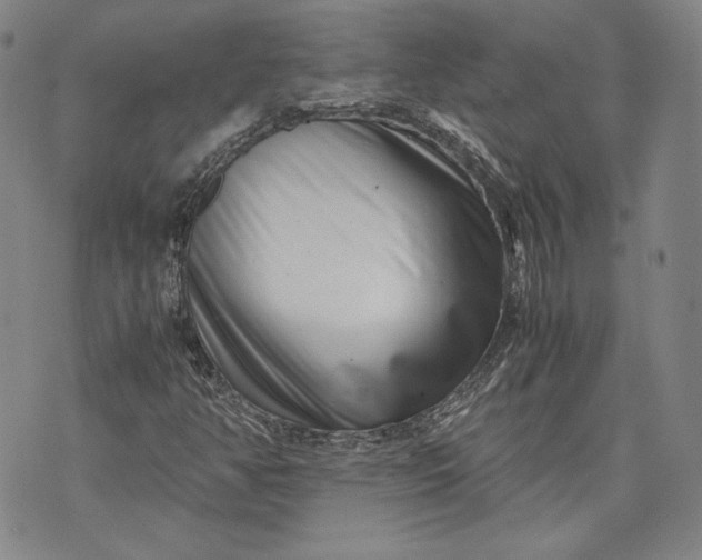 X0000071811350200607141600