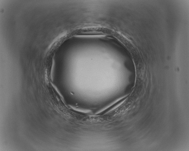 X0000071811351200607141600