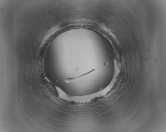 X0000071811352200607141600