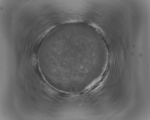 X0000071811353200607141600