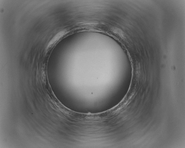 X0000071811354200607141600