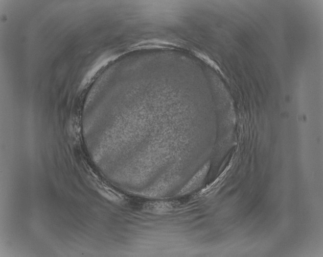 X0000071811355200607141600