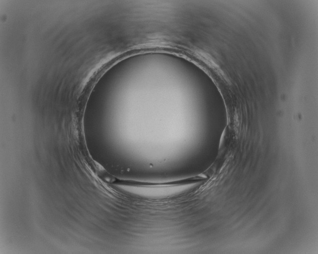 X0000071811356200607141600