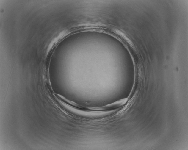 X0000071811357200607141600