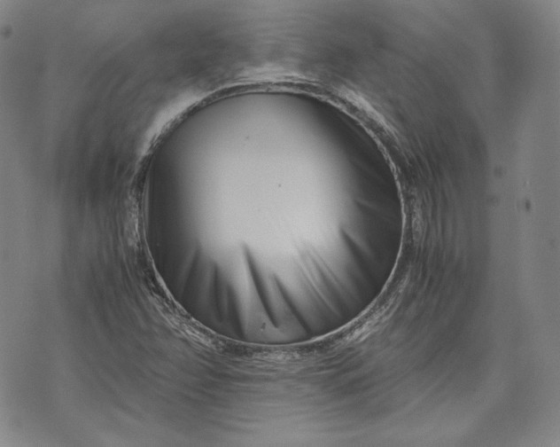 X0000071811358200607141600