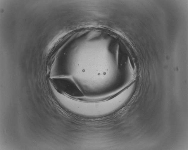 X0000071811359200607141600