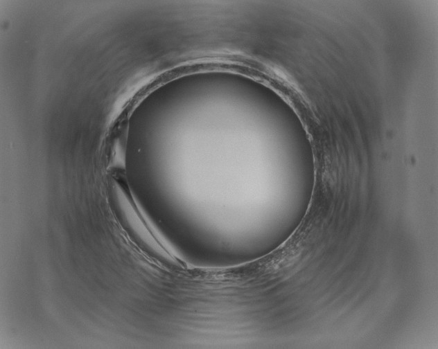 X0000071811360200607141600