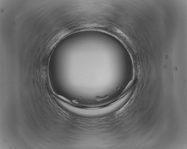 X0000071811361200607141600