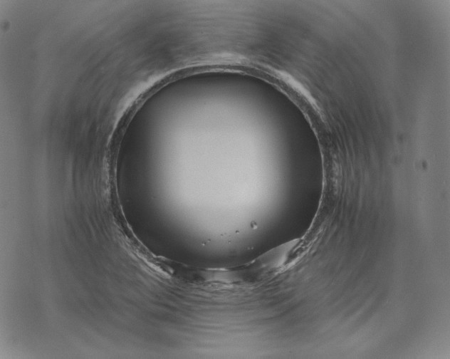 X0000071811364200607141600