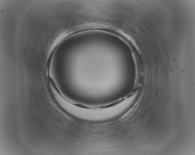 X0000071811365200607141600