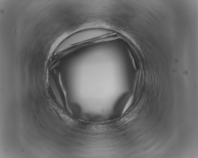 X0000071811366200607141600