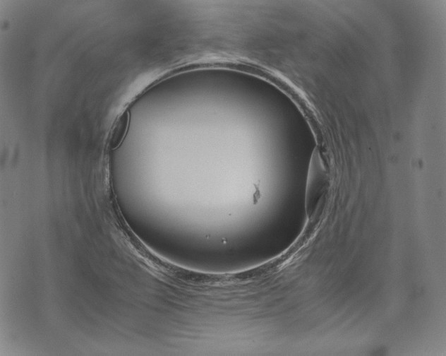 X0000071811367200607141600