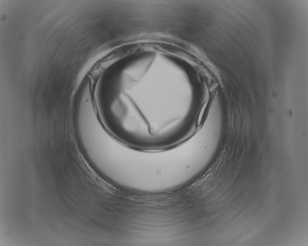 X0000071811368200607141600