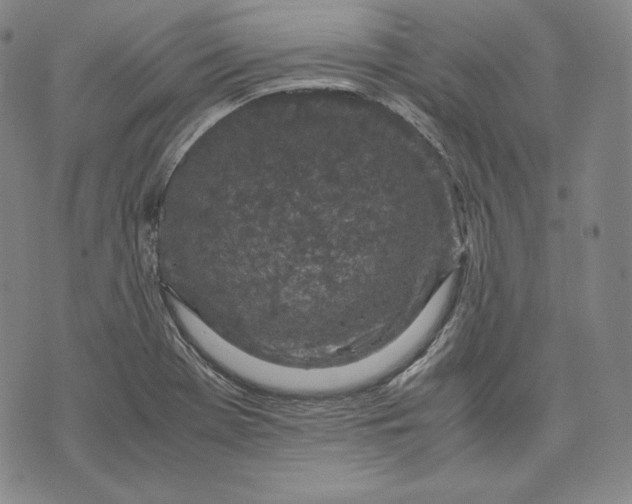 X0000071811369200607141600