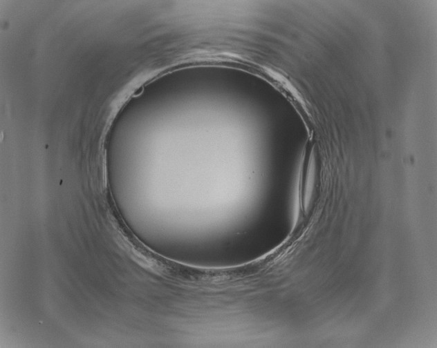 X0000071811371200607141559