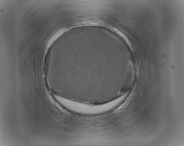 X0000071811373200607141559