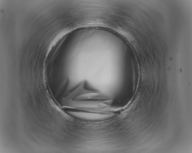 X0000071811374200607141559