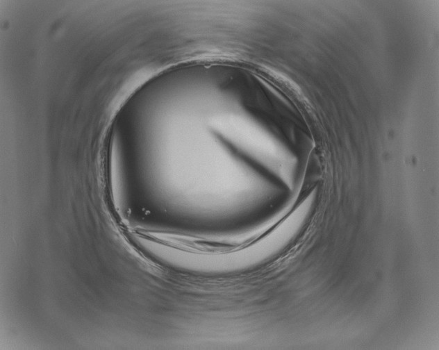 X0000071811375200607141559