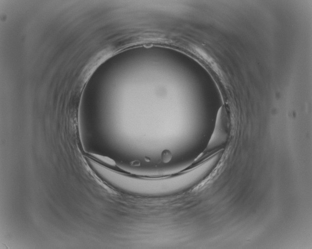 X0000071811377200607141559